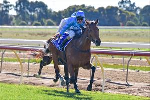 O'BRIEN UNEARTHS ANOTHER 2YO WINNER